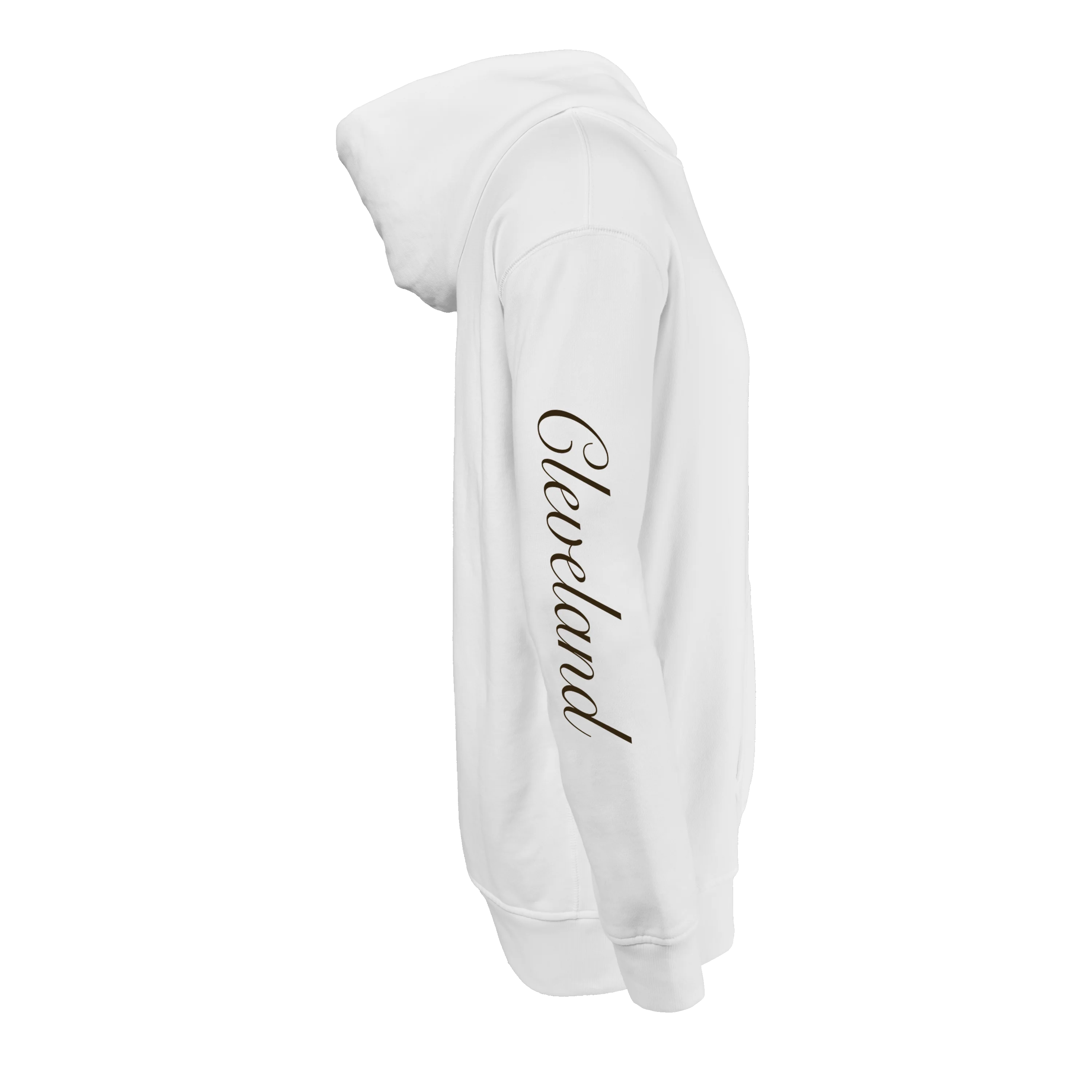 Cleveland Browns Aspen Hoodie - Image 43