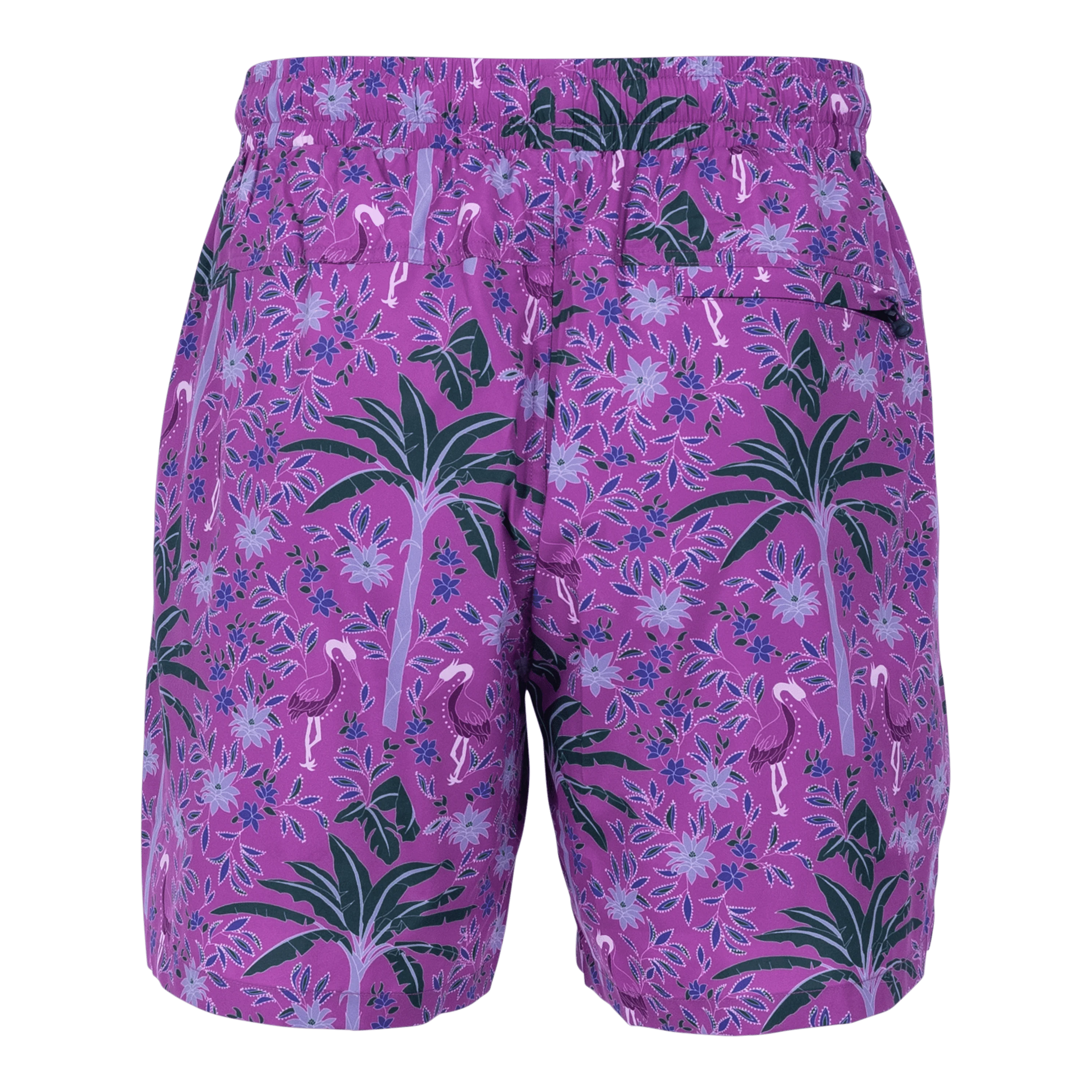 Palma Torch Swim Short - Image 3