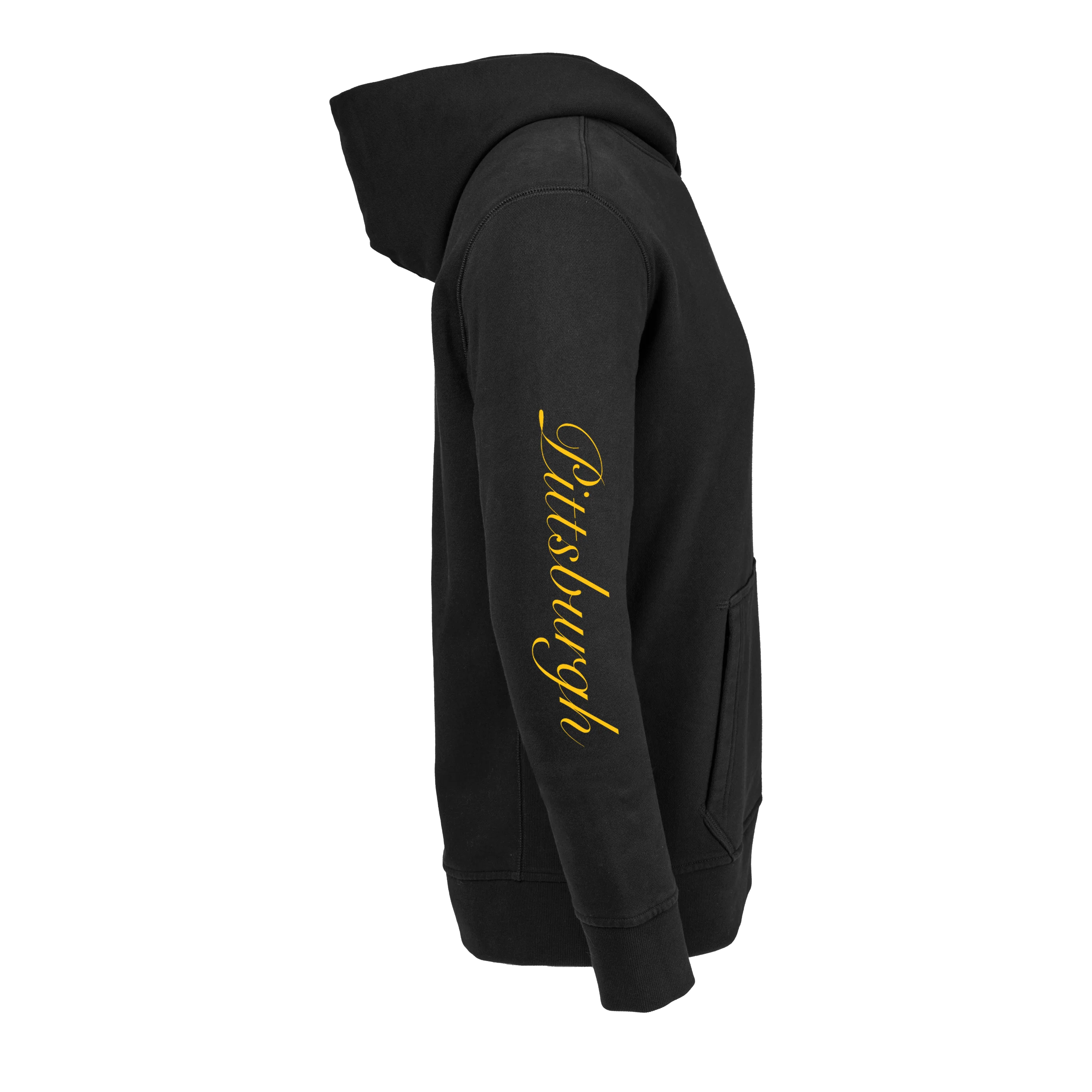 Pittsburgh Steelers Aspen Hoodie - Image 35