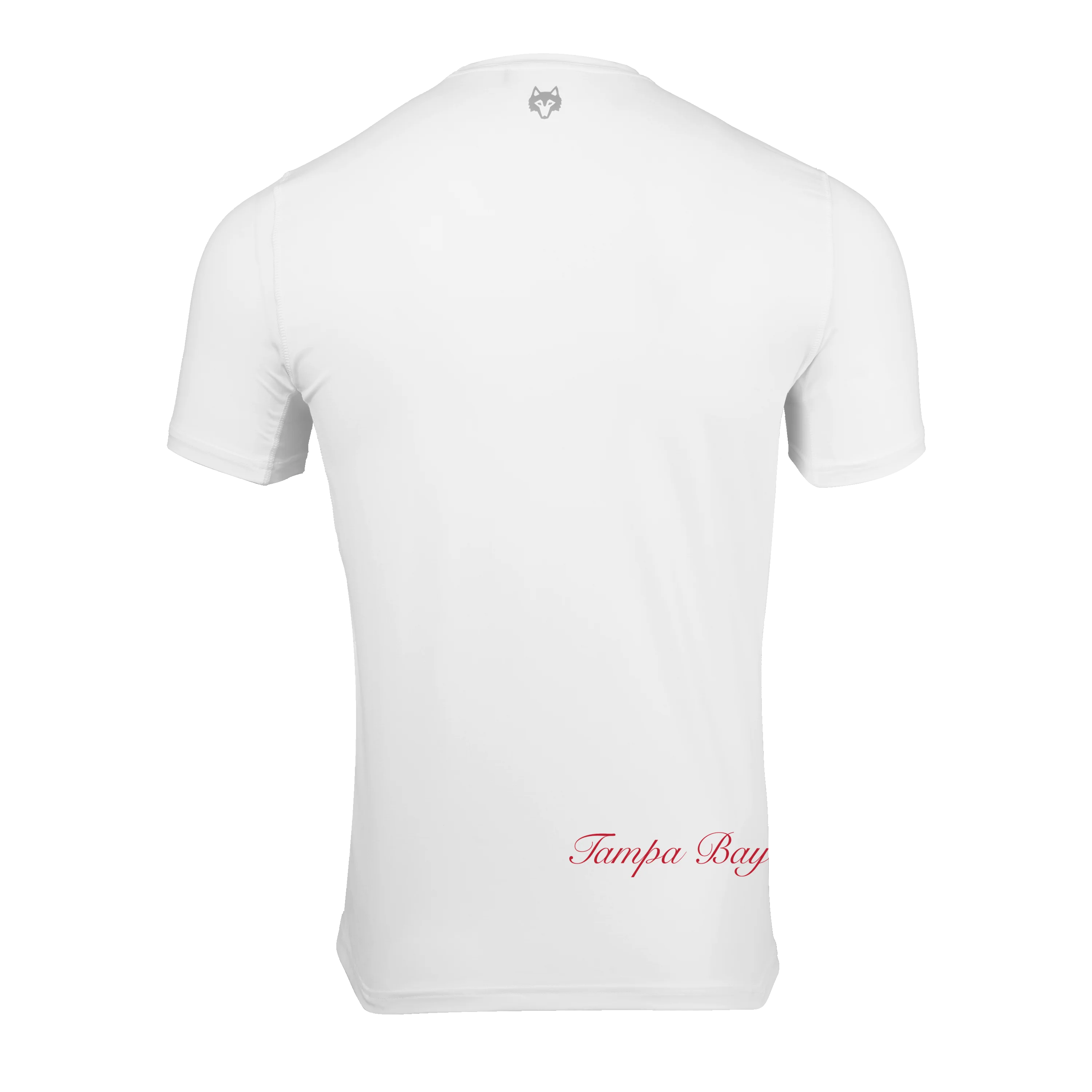 Tampa Bay Buccaneers Guide Short Sleeve Tee - Image 2